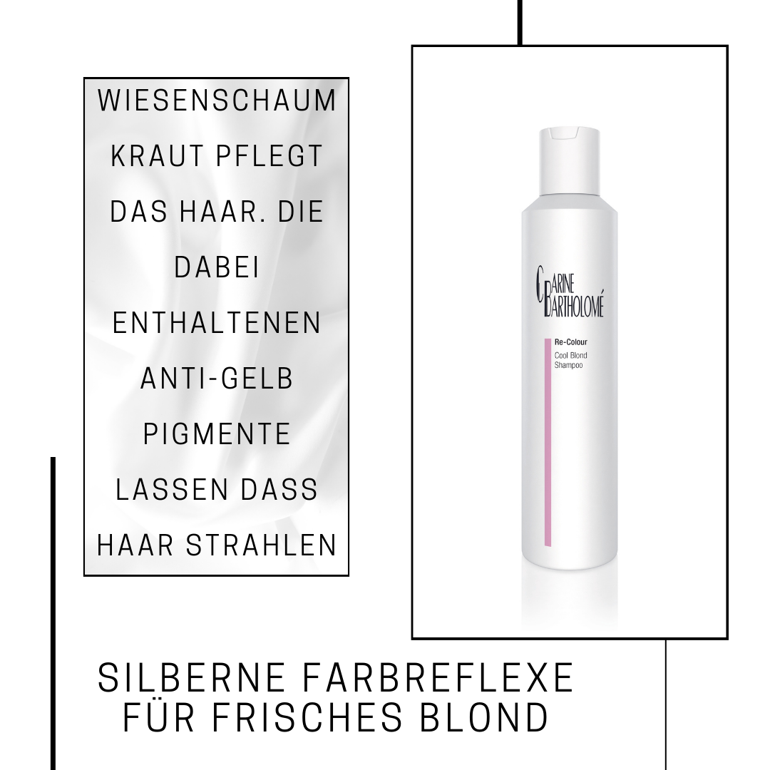 Re-Colour Cool Blond Shampoo – Bild 3