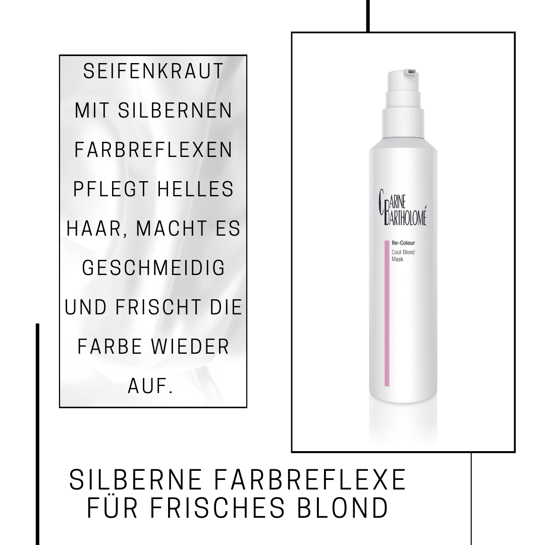Re-Colour Cool Blond Mask – Bild 2