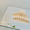 Thin Barrette Hairclip