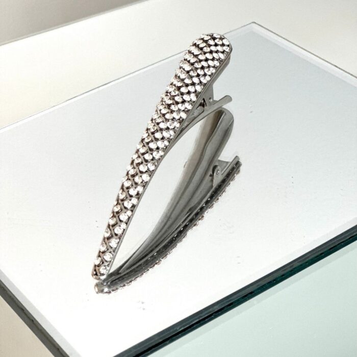 Metal Beak Hairclip